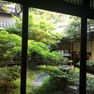手入れの行き届いたお庭に面したお席で。