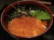 火呑みの鶏 ねんじ