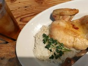 ラ ココリコ 上野の森さくらテラス店