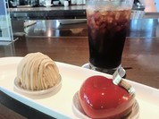 フォルテシモ アッシュ