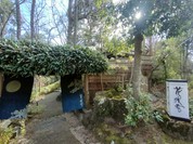 伊豆高原 城ケ崎温泉 花吹雪