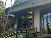 伊豆高原 城ケ崎温泉 花吹雪