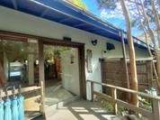 伊豆高原 城ケ崎温泉 花吹雪