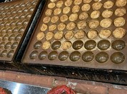 たこ焼 玉屋 ユニバーサル・シティウォーク大阪TM店
