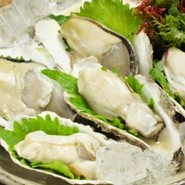 天草産岩牡蠣