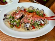 ソフィア・ローレンレストラン鎌倉