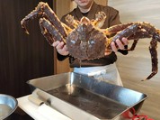 活かに 北斗