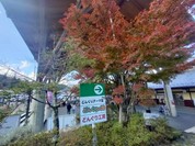 道の駅どんぐりの里いなぶ