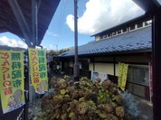 道の駅どんぐりの里いなぶ