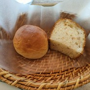 ガーブ コスタ オレンジ