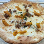 ガーブ コスタ オレンジ