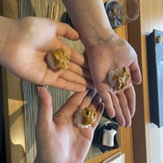 特別にうに。幸せ