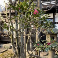 宮島 レ・クロ