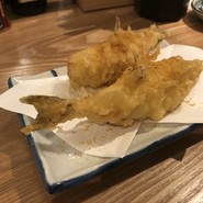 大衆酒場レインカラー