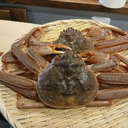 活けズワイガニ