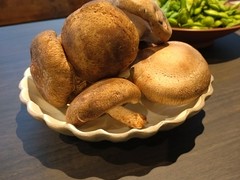肉厚しいたけ