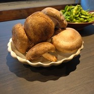 肉厚しいたけ