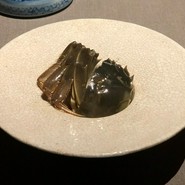 茶禅華
