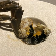 茶禅華