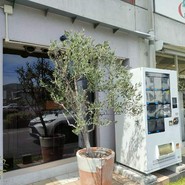 ラスティコ
