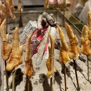 鳥匠いし井ひな