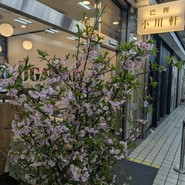 巴裡 小川軒 新橋店