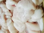颯輝