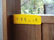 上州そば 将太