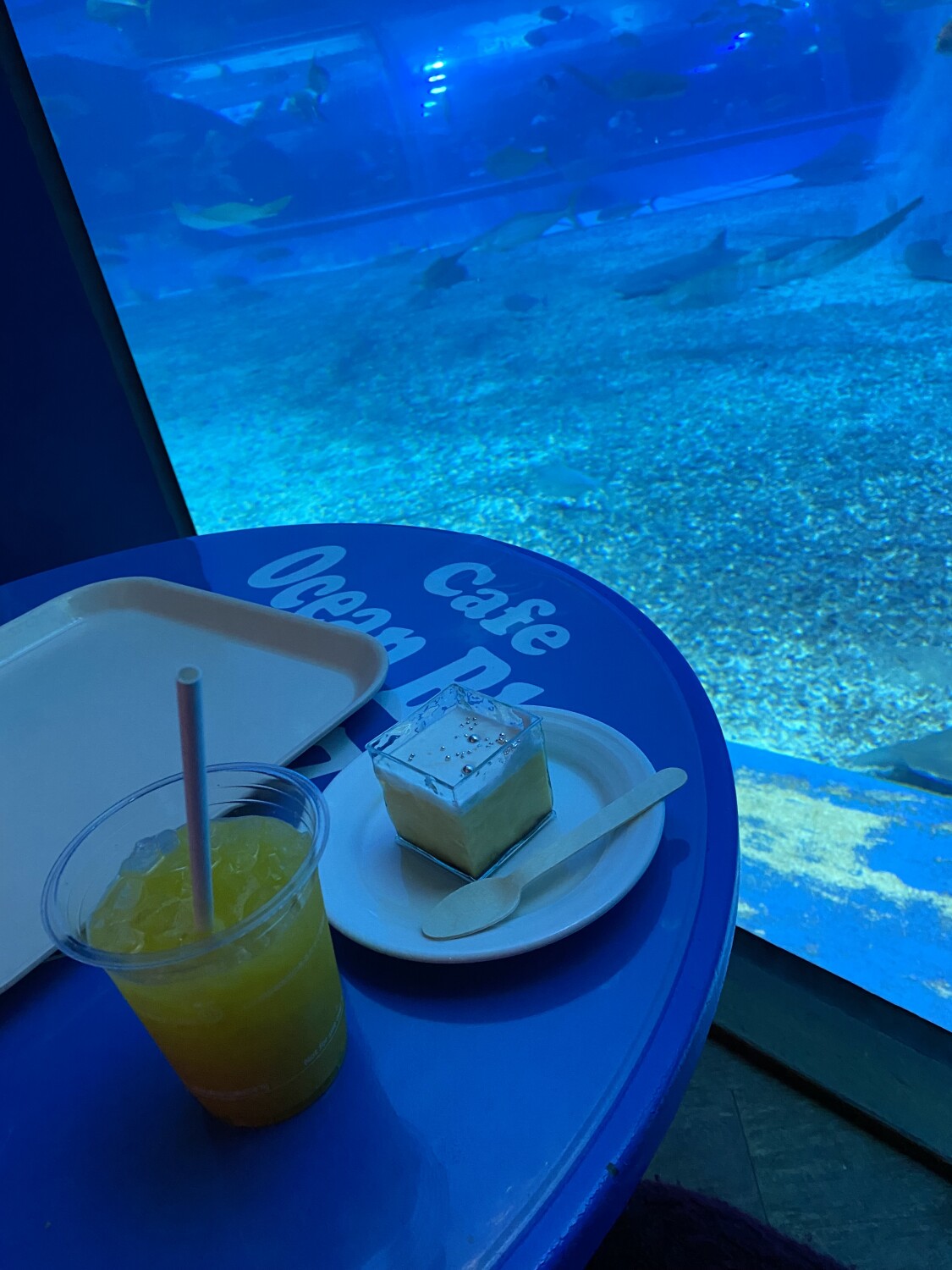 オーシャンブルー Ocean Blue 沖縄北部その他 カフェ のグルメ情報 ヒトサラ オーシャンブルー Ocean Blue 沖縄北部その他 カフェ のグルメ情報 ヒトサラ