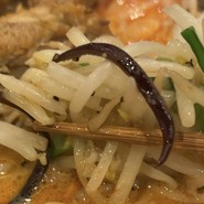 タンメン並みのモヤシとキクラゲ！