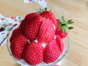 スイーツカフェ クイール