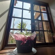 プレリュード 福光店