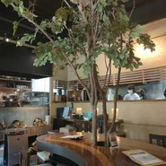 和カフェ　団栗