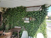バナナカフェ