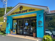 マーロウ 逗葉新道店