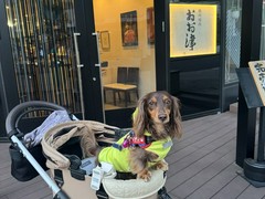 焼肉塊肉　おお津