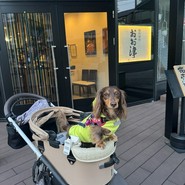 焼肉塊肉　おお津