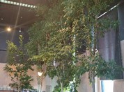 ステーキのあさくま 一宮店