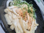 天政
