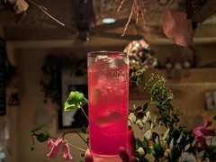 赤いジントニック