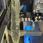 LAPIS BLEU TOKYO 有楽町店