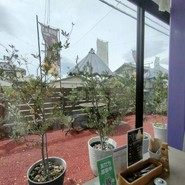 IZUMI　cafe　＆bistro