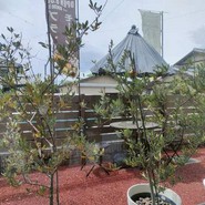 IZUMI　cafe　＆bistro